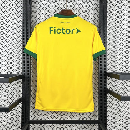 MAILLOT PALMEIRAS 2025/2026