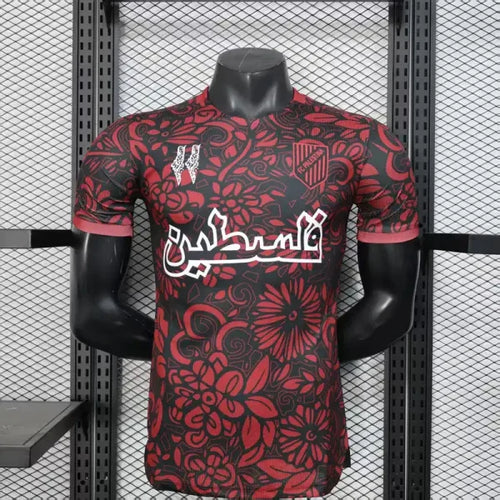 MAILLOT CONCEPT PALESTINE 2025/2026